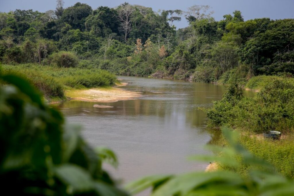 Iniciativa está alinhada com objetivo de promover sustentabilidade dos sistemas de áreas protegidas, reduzir as ameaças à biodiversidade - Gente de Opinião