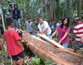 DE ONDE VEM A CINTA: projeto rondoniense sobre o povo Cinta Larga ganha maior prêmio de arte-educação do Brasil na categoria Ensino Fundamental II 