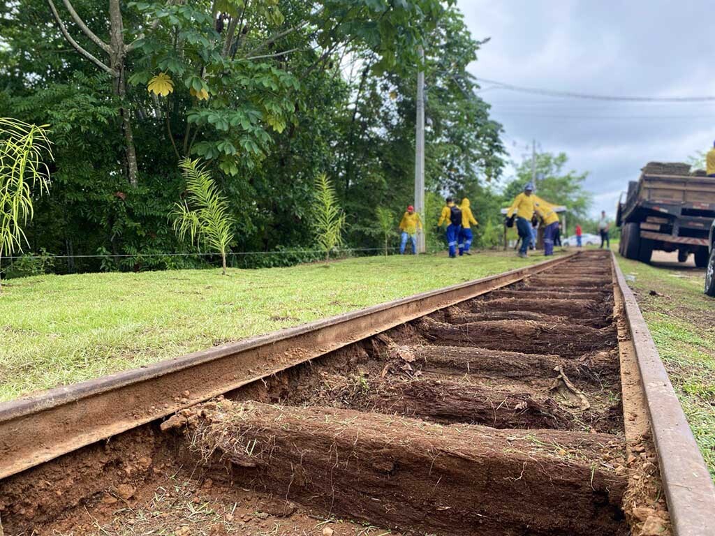 Trabalho de revitalização e paisagismo avança no bairro Triângulo - Gente de Opinião