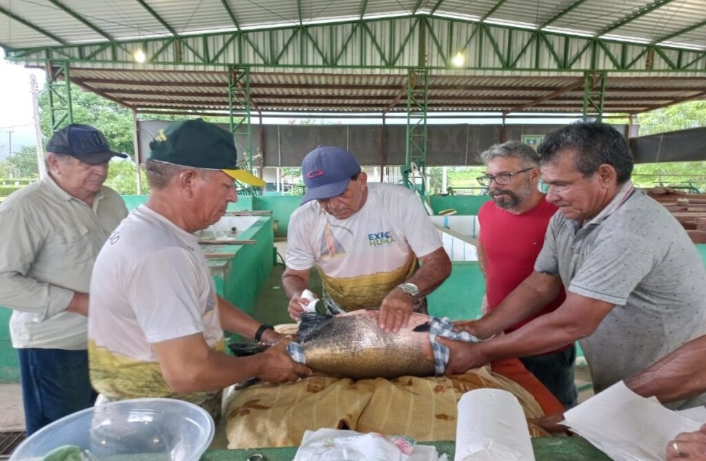 Amarildo Santos, ao centro; Sebastião Batalha, à direita; Antônio de Almeida, à esquerda; Sebastião Pereira, à frente esquerda; Manoel Marreco, à frente direita. - Gente de Opinião