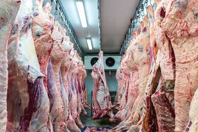 Exportações de carne bovina do Brasil devem superar média global em 2023 - Gente de Opinião