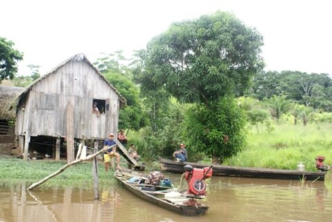 Amazônida, produto da consciência