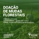 Centro de Estudos Rioterra disponibiliza 80 mil mudas para doação