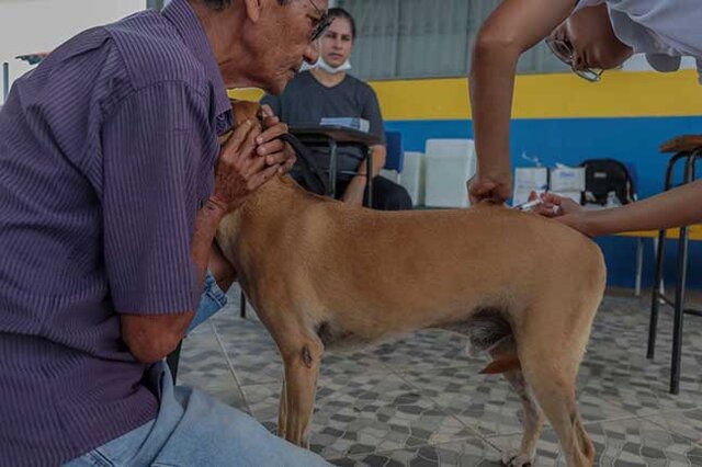 Vacinação para cães e gatos será realizada nos condomínios do Bairro Novo - Gente de Opinião
