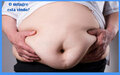 Uma grande notícia para o 1 bilhão de obesos no mundo e 56 milhões no Brasil