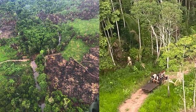 MPRO, em conjunto com o governo de Rondônia, recorre de decisão judicial que suspendeu desocupação do Parque Estadual Guajará-Mirim - Gente de Opinião