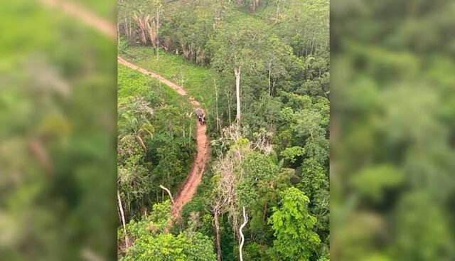 MP e Estado de Rondônia obtêm liminar que restabelece ordem de desocupação do Parque Estadual Guajará-Mirim - Gente de Opinião