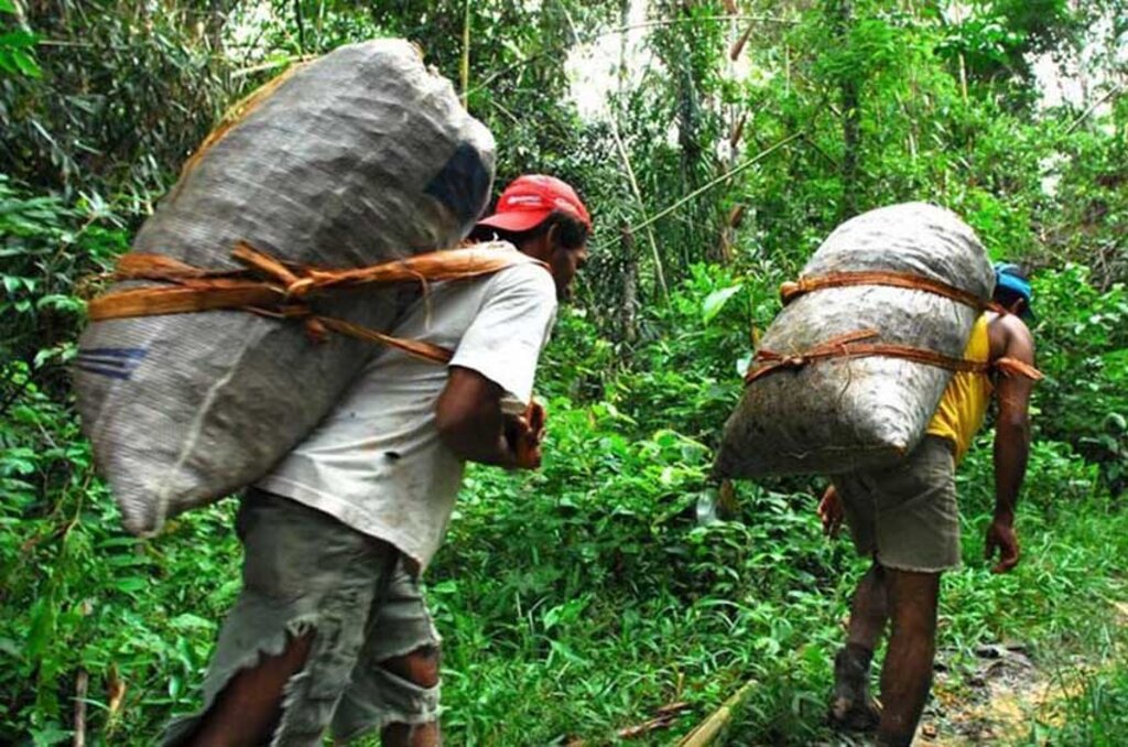 ‘Exilados’: documentário mostra expulsão violenta de extrativistas da Resex Jaci-Paraná - Gente de Opinião