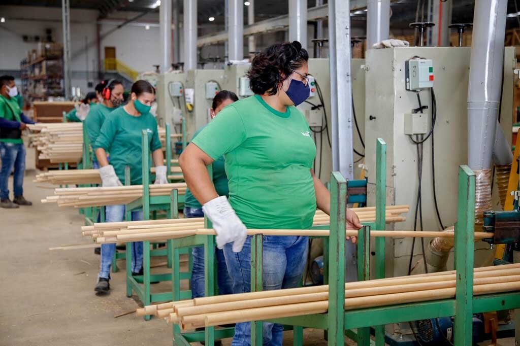 Rondônia tem aumento de 44% na geração de emprego - Gente de Opinião