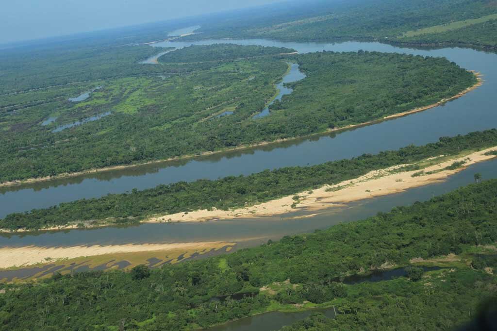 Este ano, o foco da Semana do Meio Ambiente, que inicia no dia 5 de junho, será a restauração dos ecossistemas - Gente de Opinião