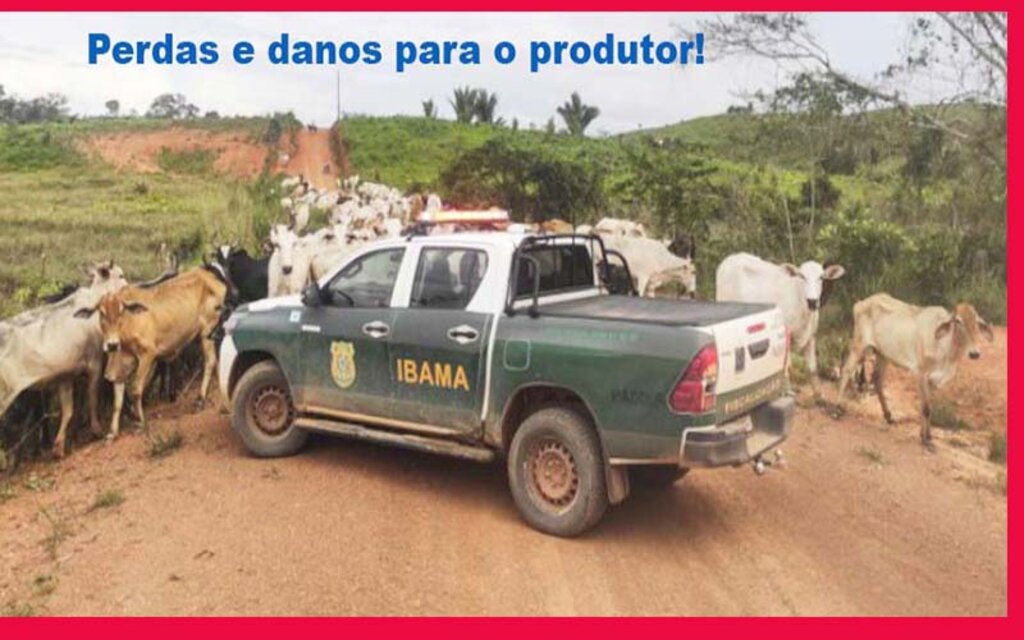 Grande perigo para Rondônia: instrução normativa do Ibama pode embargar áreas e tomar terras dos nossos produtores - Gente de Opinião