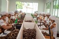 Aprovado projeto que inclui agroindústrias no Sistema de Licenciamento Ambiental de RO