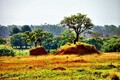 BNDES bloqueia R＄ 62 milhões em crédito em imóveis com indícios de desmatamento