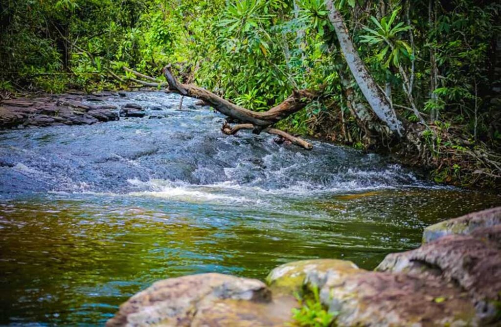 Vale das Cachoeiras é um dos principais atrativos turísticos do estado de Rondônia - Gente de Opinião