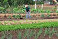 Agricultores de Rondônia serão homenageados com exposição de produtos da agricultura familiar nesta sexta-feira, 28