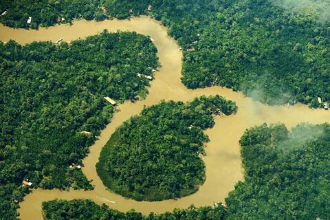 Cúpula da Amazônia: Organizações indígenas realizam Assembleia internacional para promover a importância dos territórios e povos no enfrentamento da crise climática 