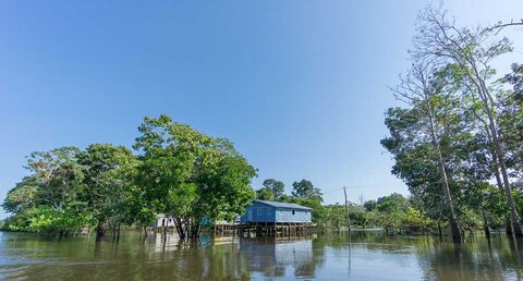 Concertação pela Amazônia lança, na Cúpula, em Belém, documento com propostas para o território