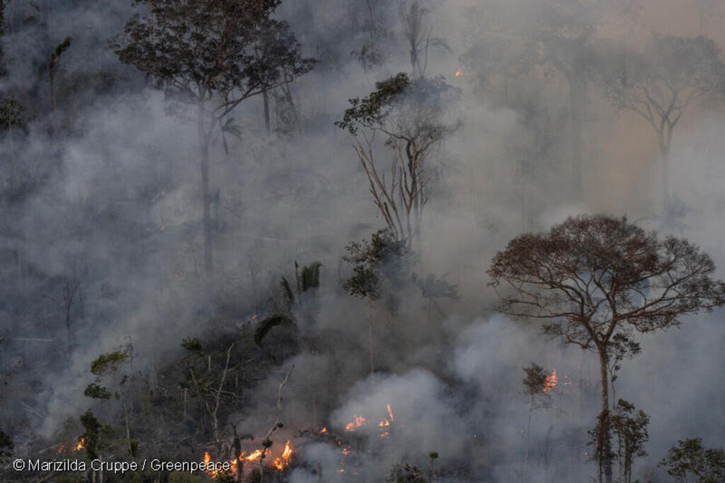 Equipe do Greenpeace flagra queimadas ilegais na Amazônia. © Marizilda Cruppe / Greenpeace - Gente de Opinião