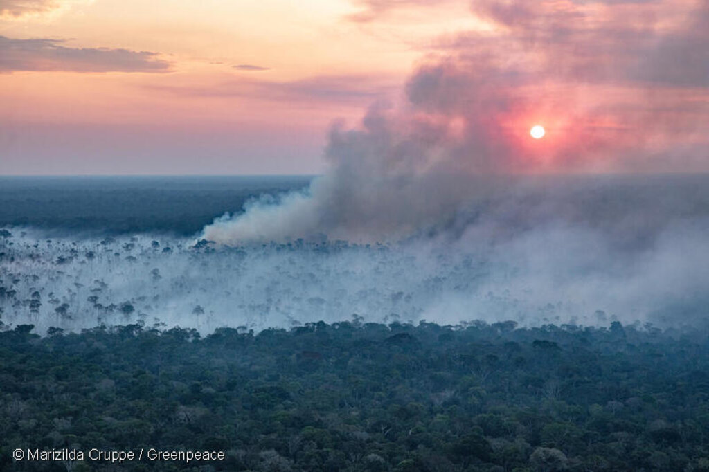 Greenpeace divulga imagens inéditas de queimadas na Amazônia; apesar de queda no desmatamento, focos de calor estão aumentando - Gente de Opinião