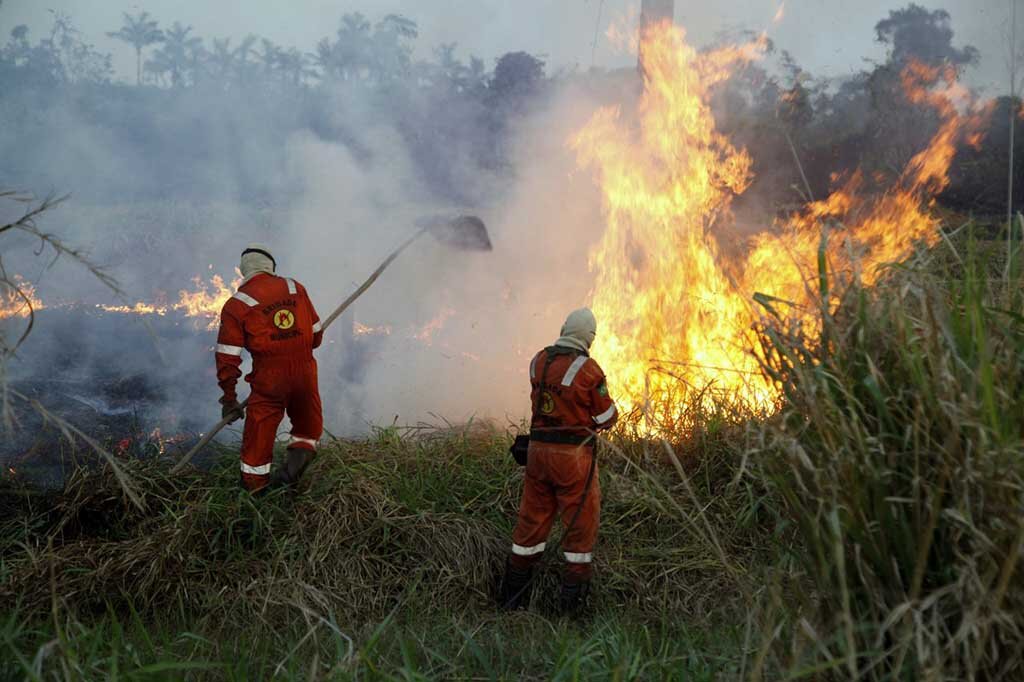 Rondônia registra queda de 72,6% nas ocorrências de incêndios florestais e Marcos Rocha reforça compromisso com a sustentabilidade - Gente de Opinião
