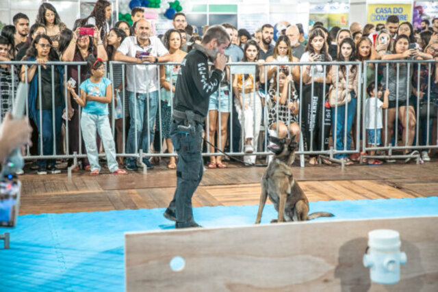 A Polícia Civil tem quatro cães de raça Pastor Belga que localizam drogas sem a necessidade de equipamentos - Gente de Opinião