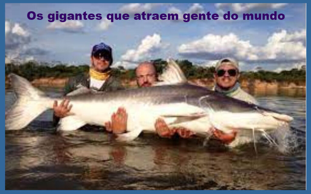 Vinda de mais de mil apaixonados pela pesca esportiva: este tipo de turismo de Rondônia só cresce, mesmo sem estrutura - Gente de Opinião