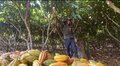 Governador Marcos Rocha parabeniza produtores de cacau de Rondônia finalistas do 5º Concurso Nacional de cacau especial do Brasil