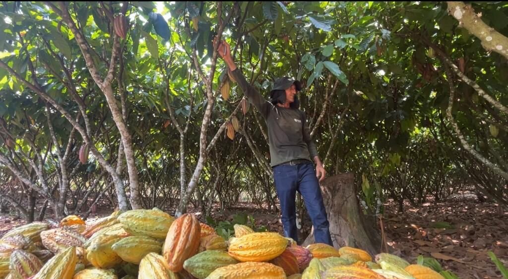 Governador Marcos Rocha parabeniza produtores de cacau de Rondônia finalistas do 5º Concurso Nacional de cacau especial do Brasil - Gente de Opinião