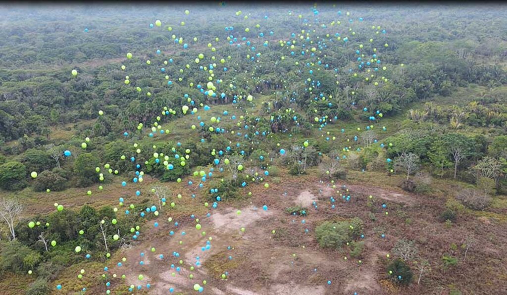 Jirau Energia solta 1200 balões biodegradáveis com sementes de árvores amazônicas - Gente de Opinião