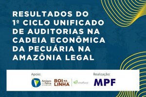 Arte: AdT - Amazônia Brasileira/Imaflora/MPF  - Gente de Opinião