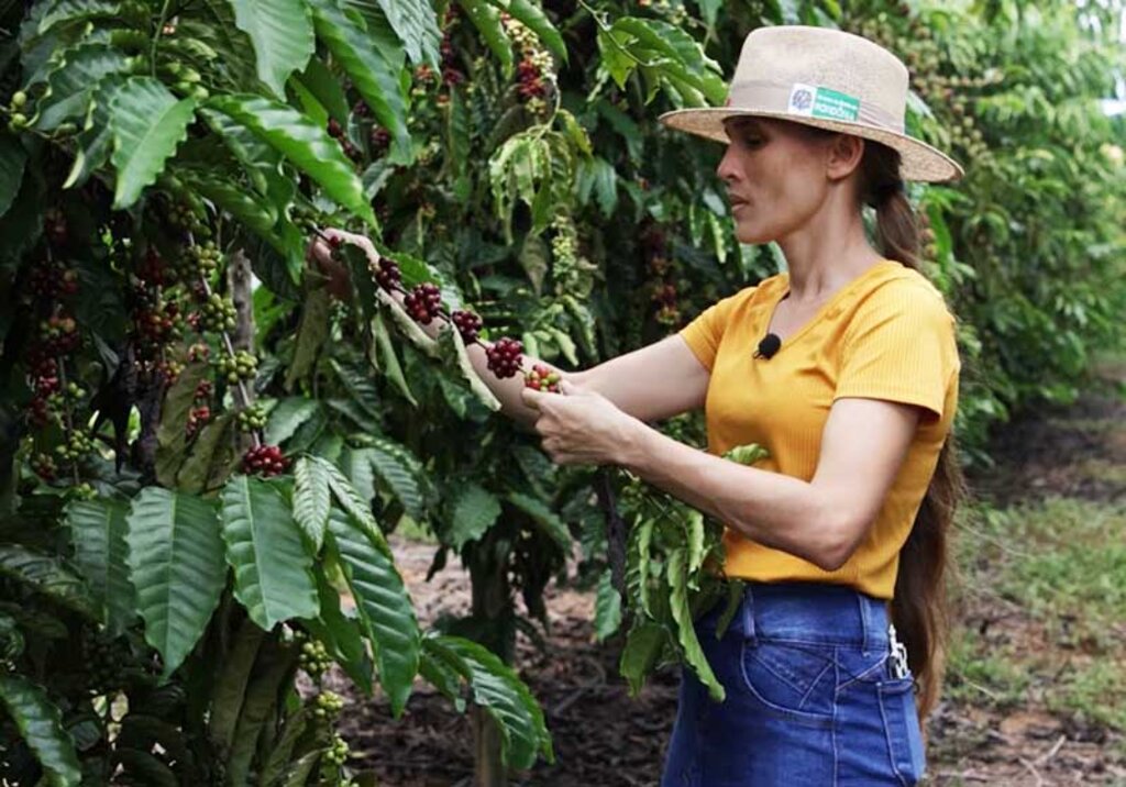 Mulheres produtoras de café de Rondônia estão entre as finalistas em concurso nacional de qualidade - Gente de Opinião