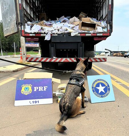 DRF Porto Velho aprende aproximadamente 68 kg de drogas em operação na BR 364 - Gente de Opinião