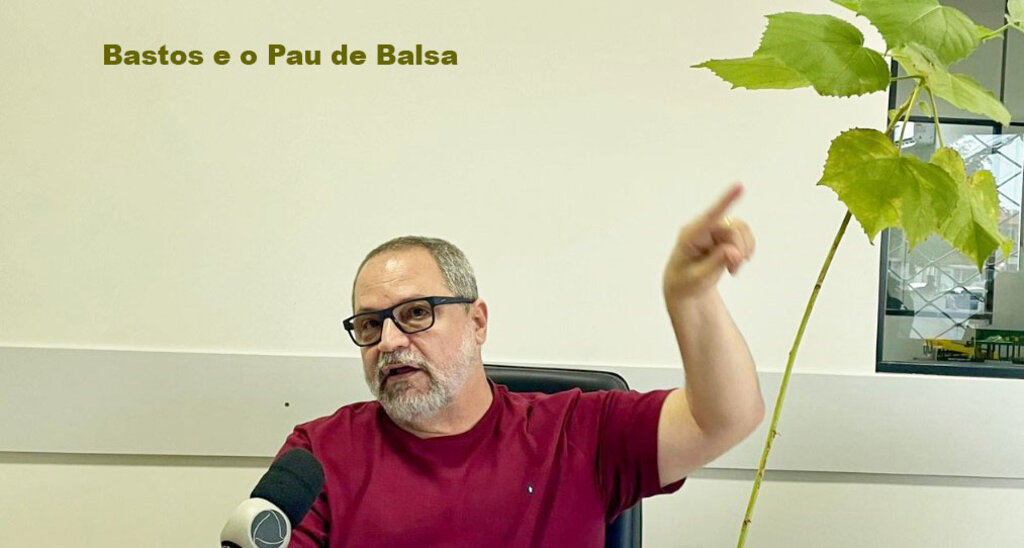 Pau de balsa, uma planta revolucionária que pode substituir o mercúrio na separação do ouro nos garimpos - Gente de Opinião