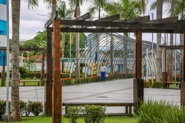 Serviços de ornamentação natalina foram iniciados nesta semana no Palácio Rio Madeira - Gente de Opinião