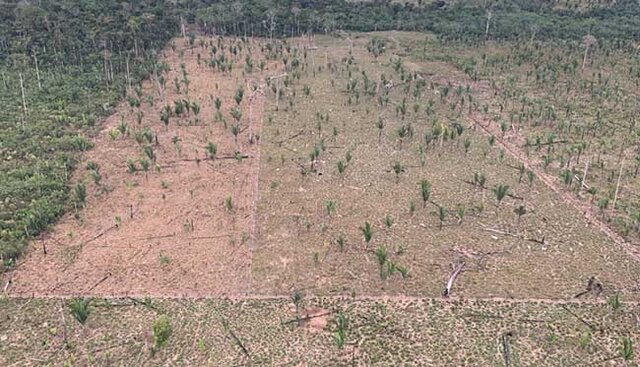 Justiça nega recurso de apelação e invasores do Parque Guajará-Mirim devem respeitar ação do MPRO - Gente de Opinião