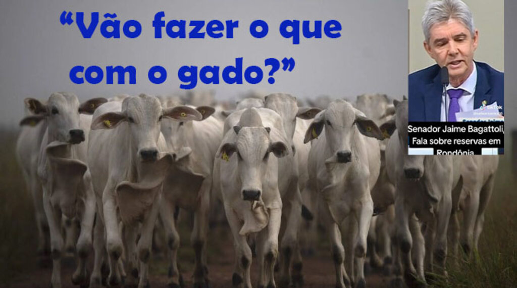Senador faz protesto (quase) solitário contra retirada de 1.500 produtores e perda de 100 mil cabeças de gado  - Gente de Opinião