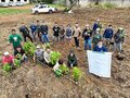 Comunidade indígena Cassupá Salamãi vê sonho de cultivar a terra ganhar forma com implantação de Sistema Agroflorestal