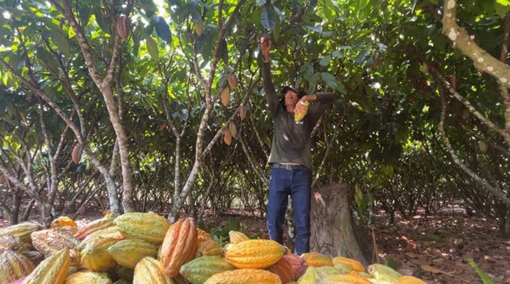 Governo de Rondônia garante o estímulo ao investimento produtivo - Gente de Opinião