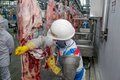 Rondônia recebe autorização para exportar carne bovina ao Canadá