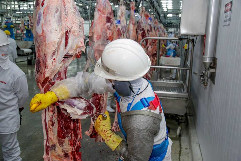 Somente em 2023, as exportações de carne processada de Rondônia atingiram mais de 917,76 milhões de dólares - Gente de Opinião