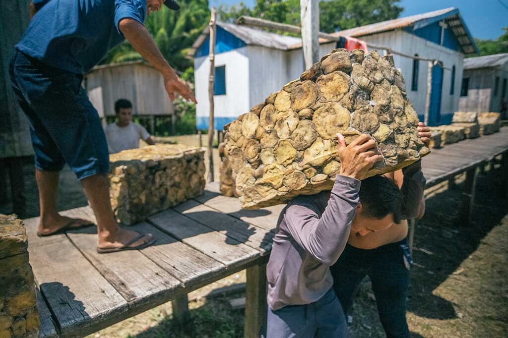 Evento acontece nesta segunda com mais de 80 seringueiros sobre produção sustentável da borracha na Amazônia - Gente de Opinião