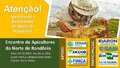 Convite: 5º Encontro Regional de Apicultores em Porto Velho Promete Impulsionar Setor Apícola na Região Norte de Rondônia