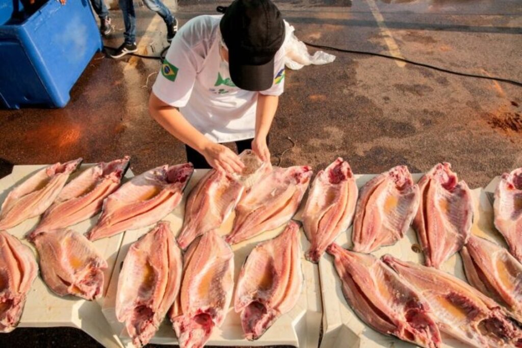 Tambaqui começa a se popularizar no mercado internacional - Gente de Opinião