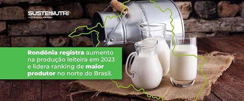Rondônia registra aumento na produção leiteira em 2023 e lidera ranking de maior produtor no norte do Brasil