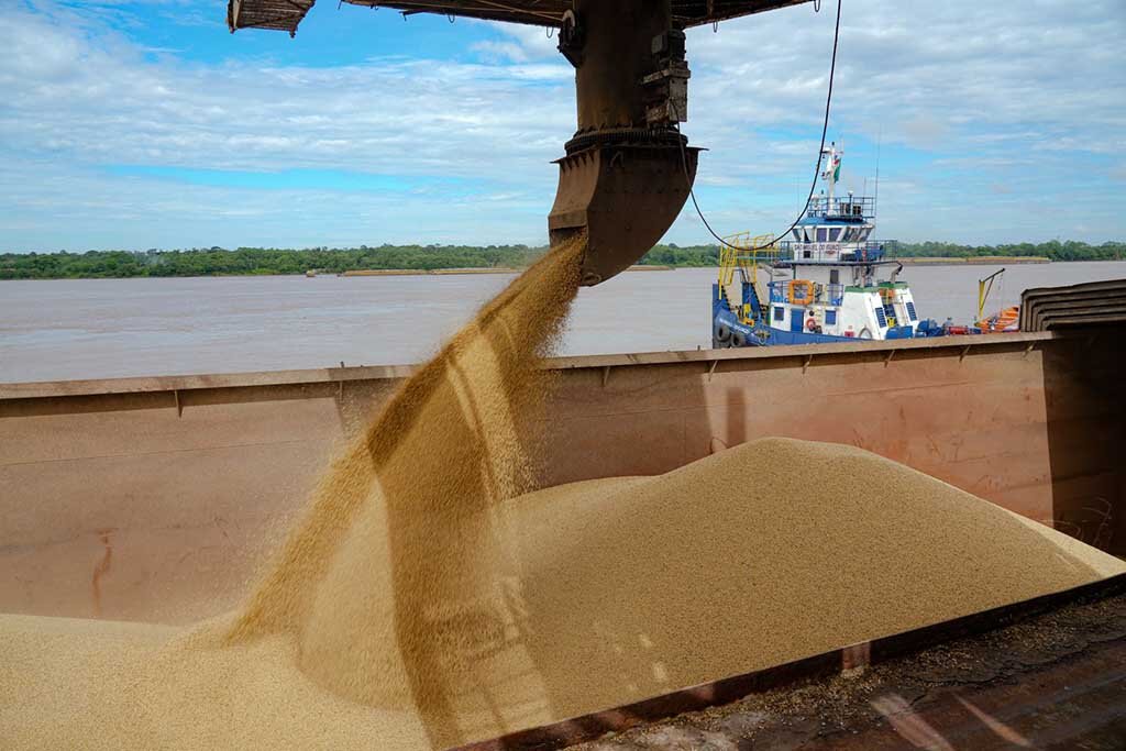 Produção de soja na capital aumentou 62,33% na safra 2022/2023, segundo IBGE - Gente de Opinião