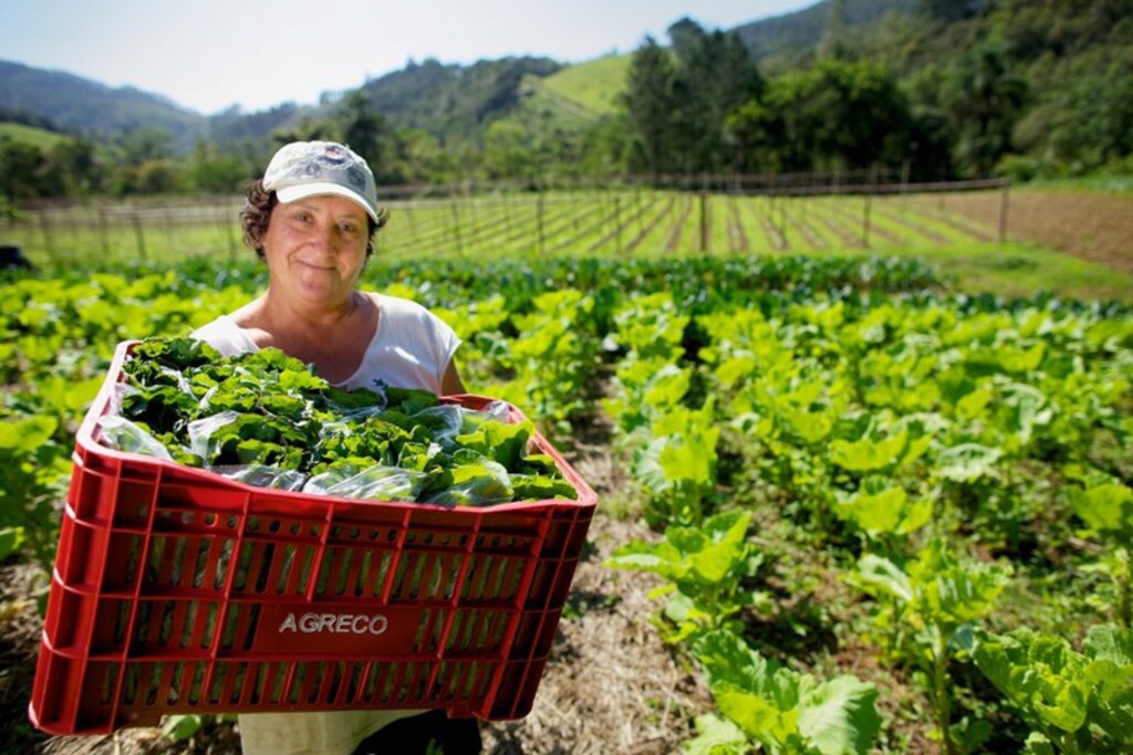 Mulheres no Brasil, culturalmente, são responsáveis por guardar e repassar a filhos e filhas os saberes ancestrais sobre alimentação e bem-estar familiar - Foto: Arquivo / MDA - Gente de Opinião