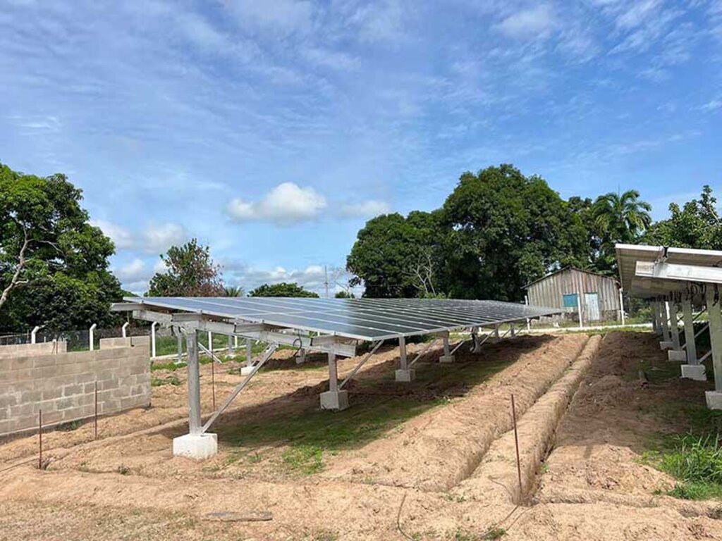 Dia dos Povos Indígenas é marcado pela chegada da energia elétrica em aldeia de Rondônia - Gente de Opinião