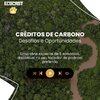 EcoCast: série especial discute os desafios e oportunidades do mercado de carbono no Brasil