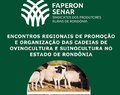 Cadeias produtivas da Ovinocultura e da Suinocultura são temas de encontros regionais em Rondônia