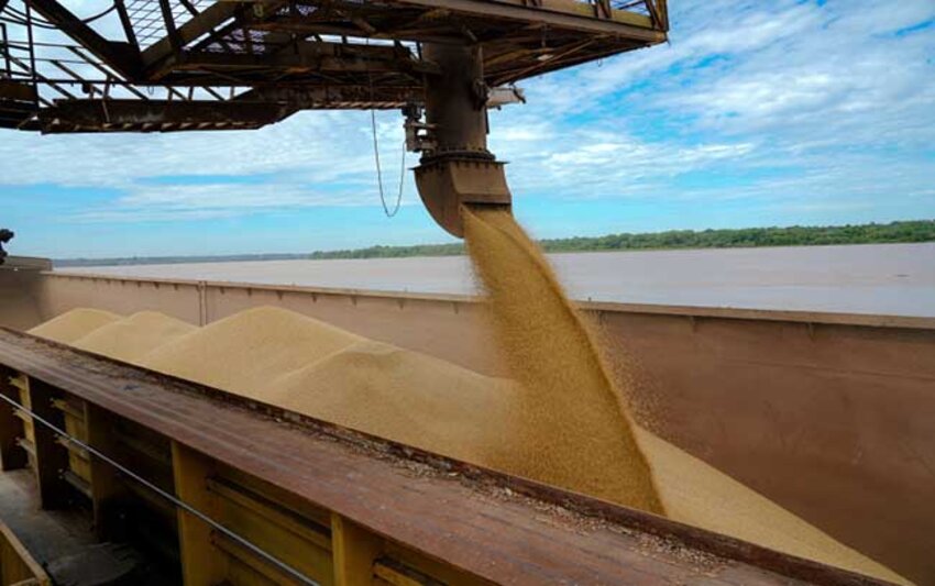 Produção de grãos aumenta a cada ano e portos do Arco Norte lideram na exportação de soja